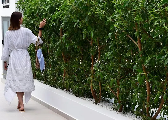 Nm ماستيخاري